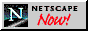 Netscape Now Logo